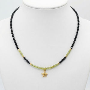 Collar choker espinela negra